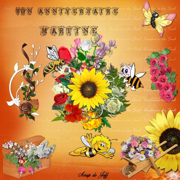 Anniversaire Martine