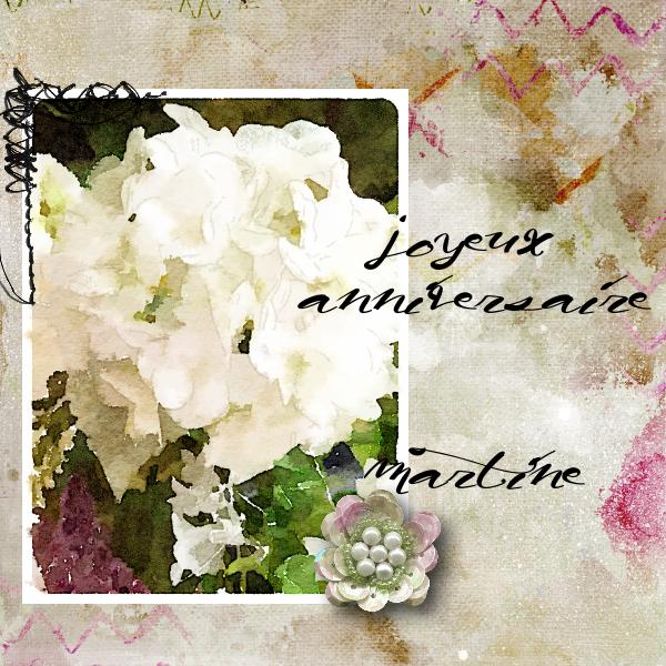 Anniversaire Martine