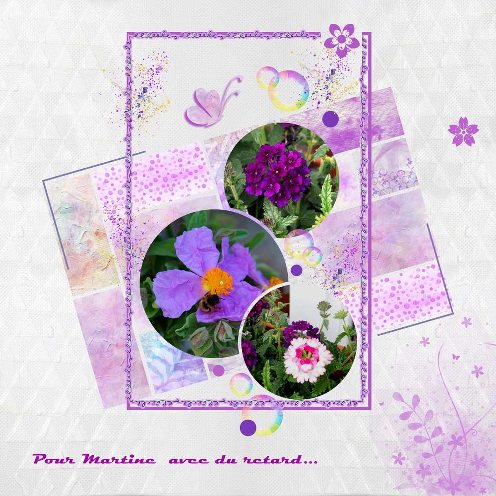 anniversaire Martine