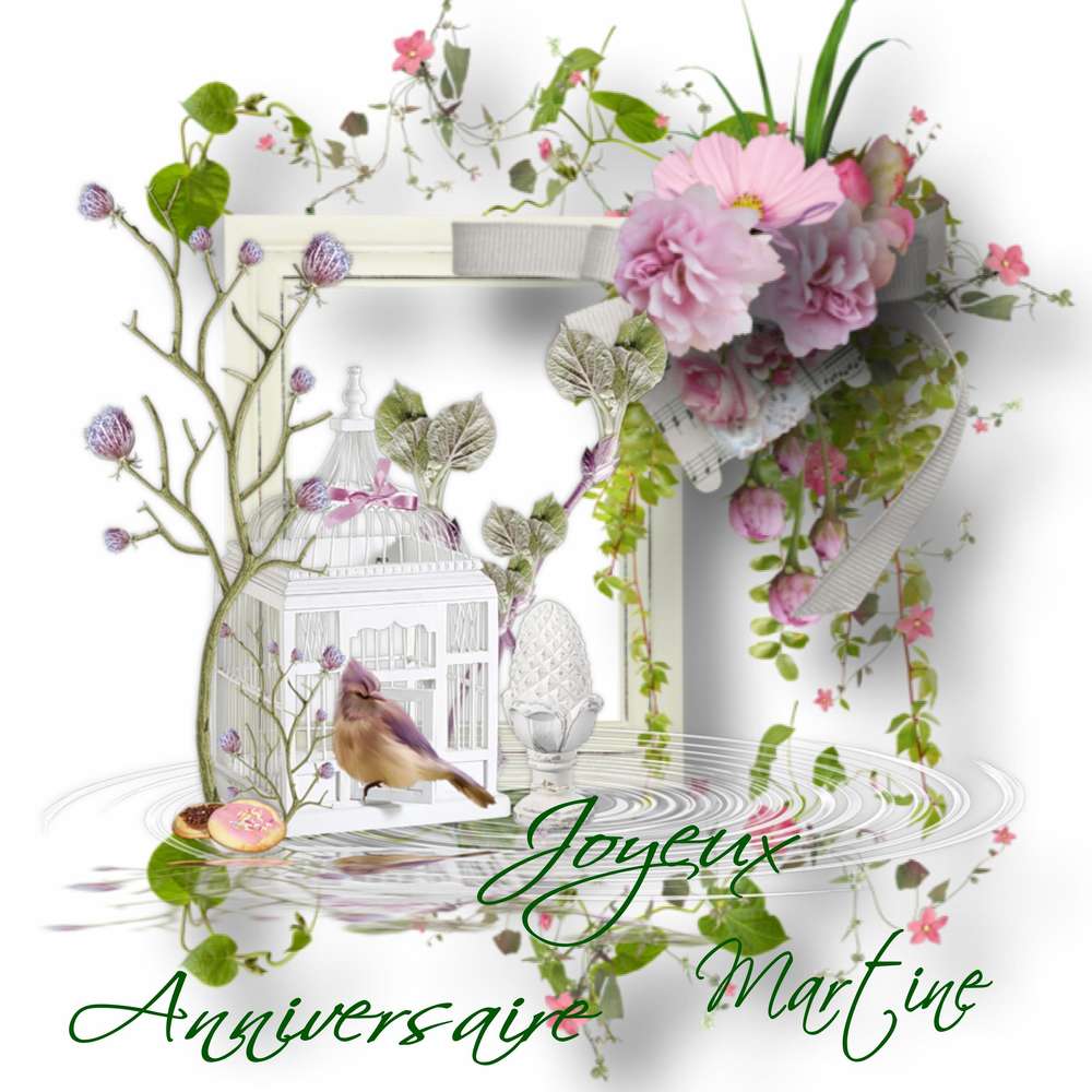 Anniversaire Martine