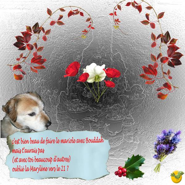 anniversaire  Marylène