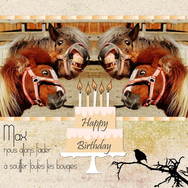 Anniversaire Max