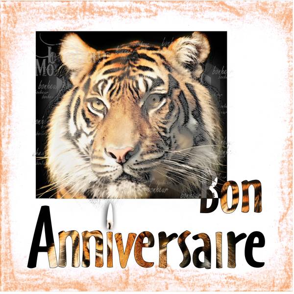 Anniversaire Mélodie