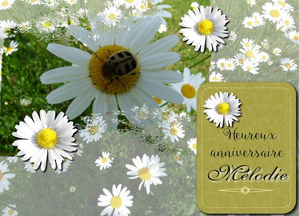 anniversaire Melodie