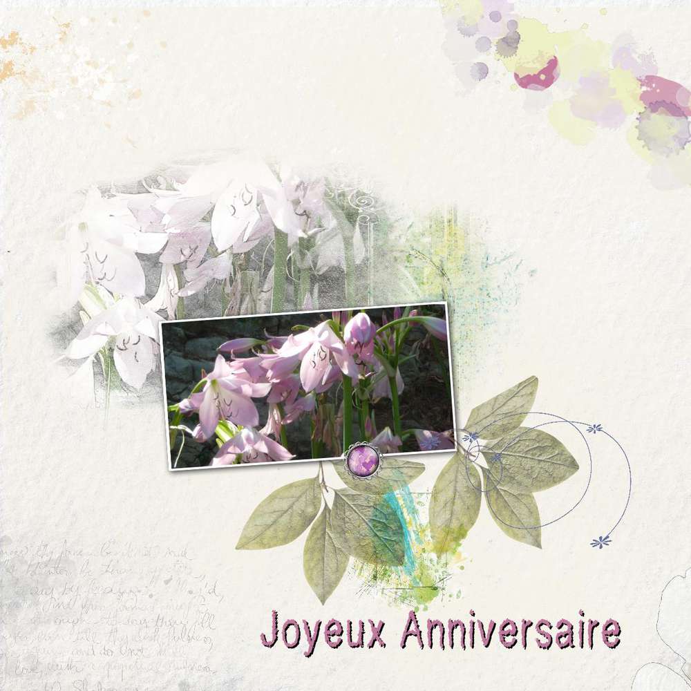 anniversaire mIchelle