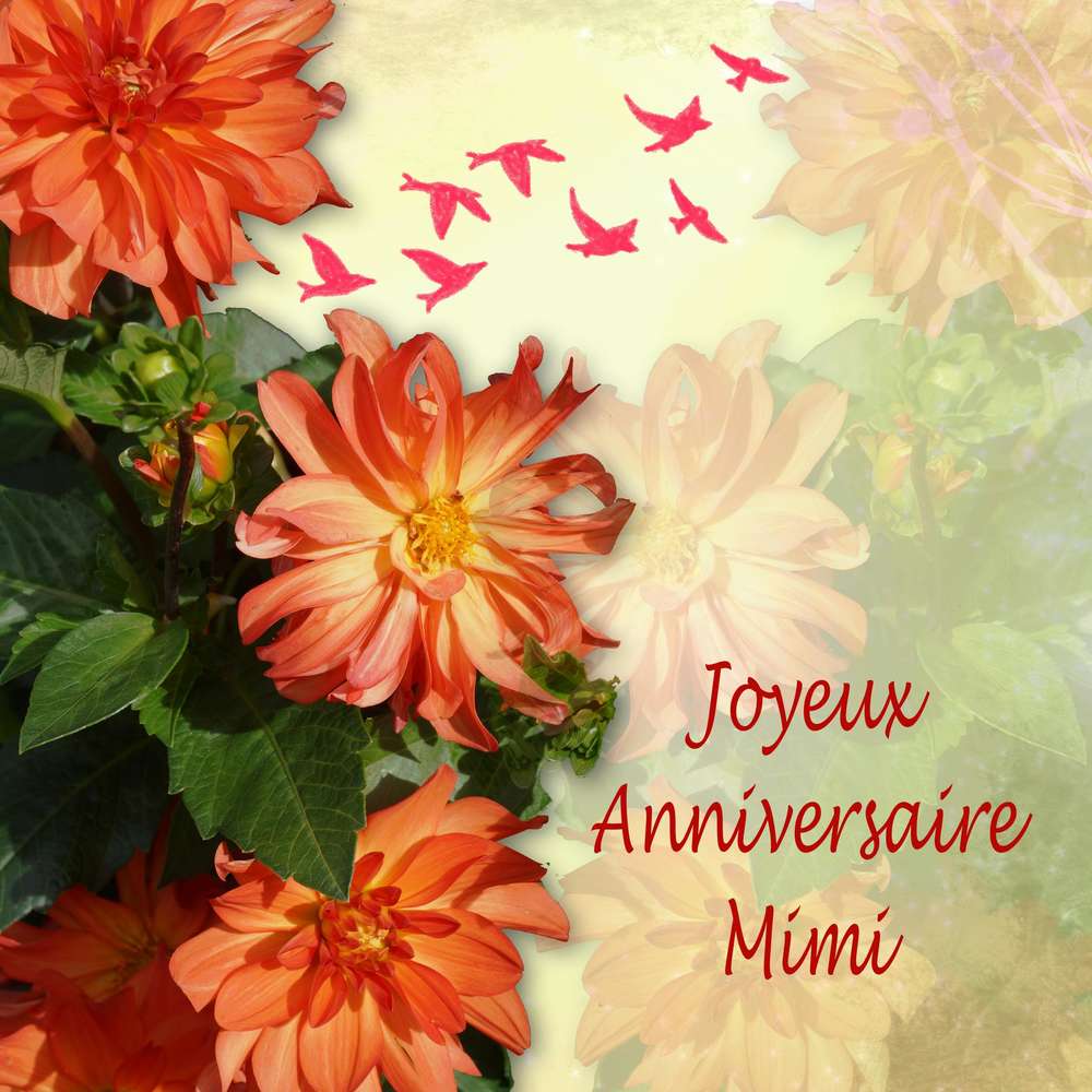 Anniversaire Mimi