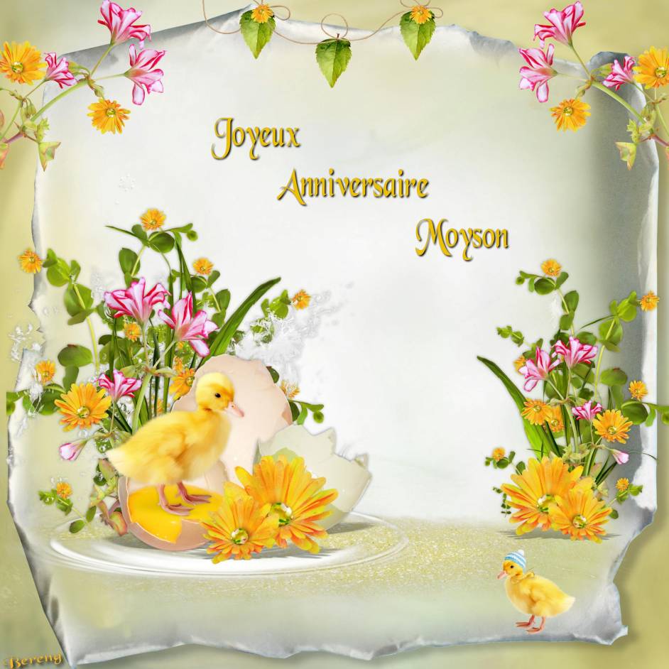 ANNIVERSAIRE MOYSON