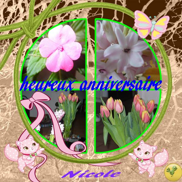 anniversaire Nicole