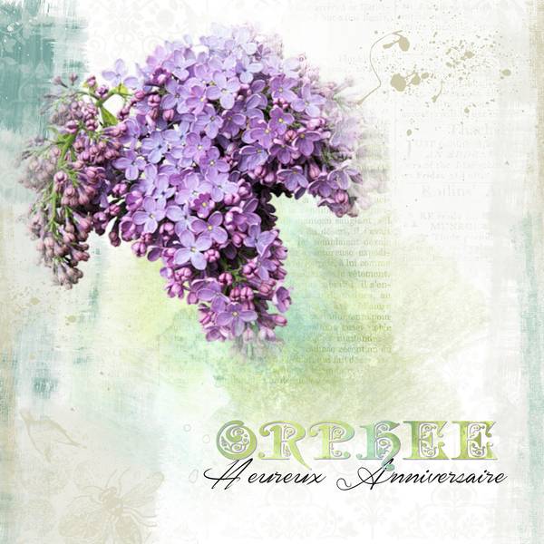 Anniversaire Orphée