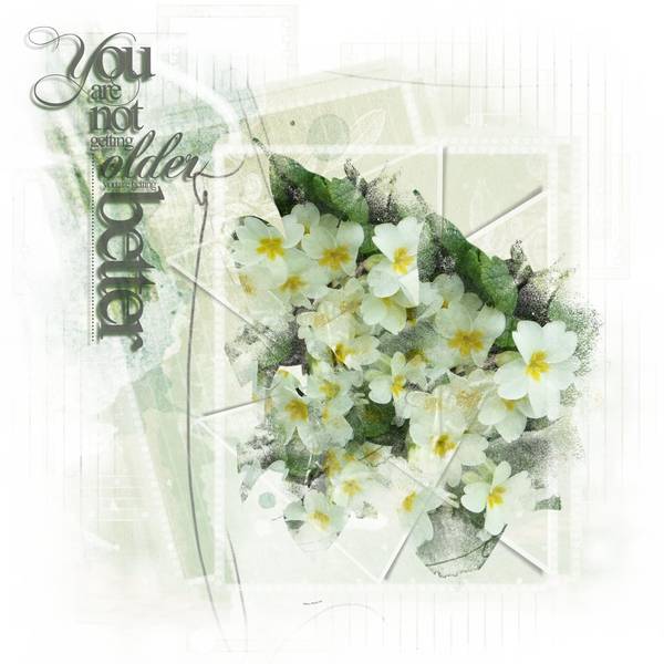 Anniversaire Orphée