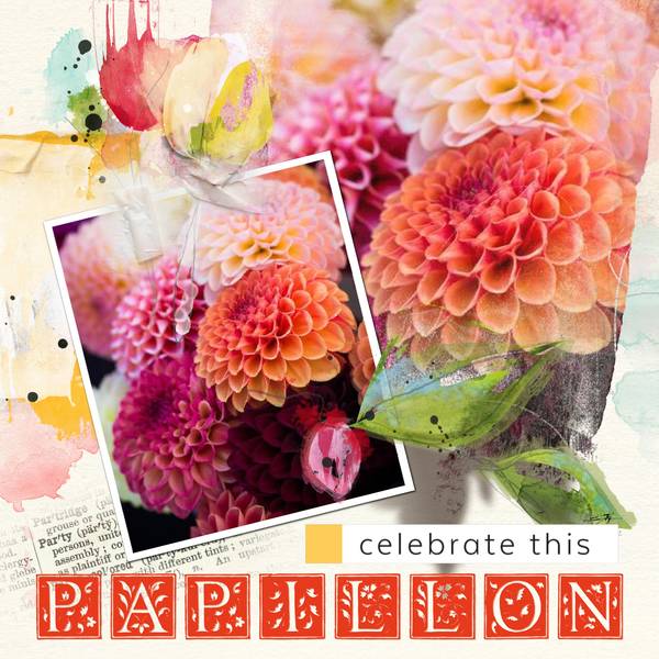 Anniversaire Papillon