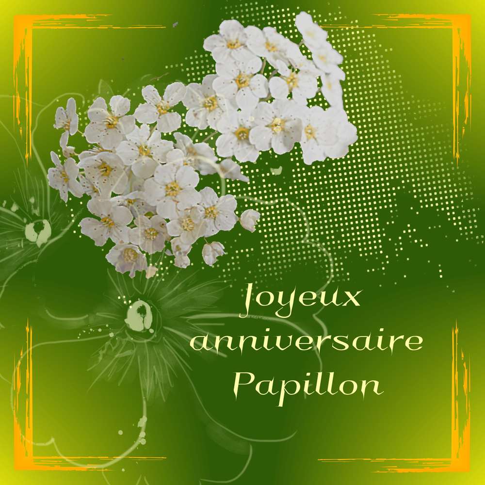 Anniversaire Papillon