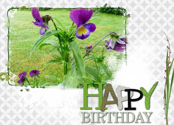 anniversaire patrick