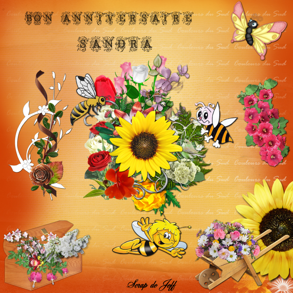 Anniversaire Sandra.