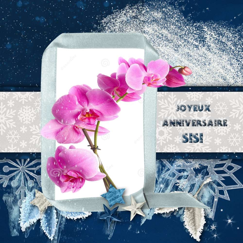 anniversaire SiSi