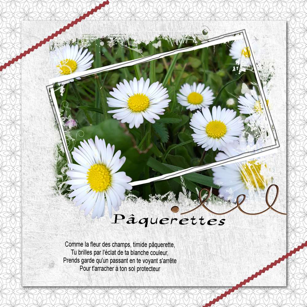 Anniversaire Sousoufafa