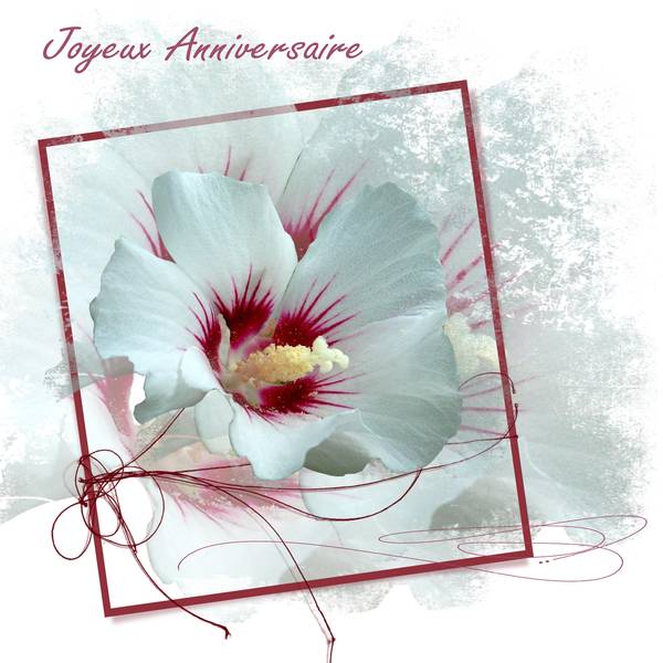 anniversaire Soussoufafa