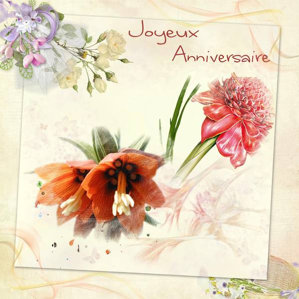 Anniversaire_Aliselle