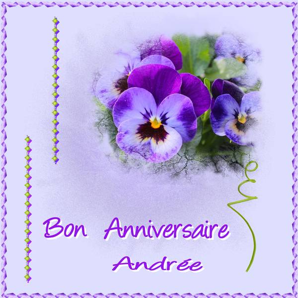 Anniversaire_Andr__e