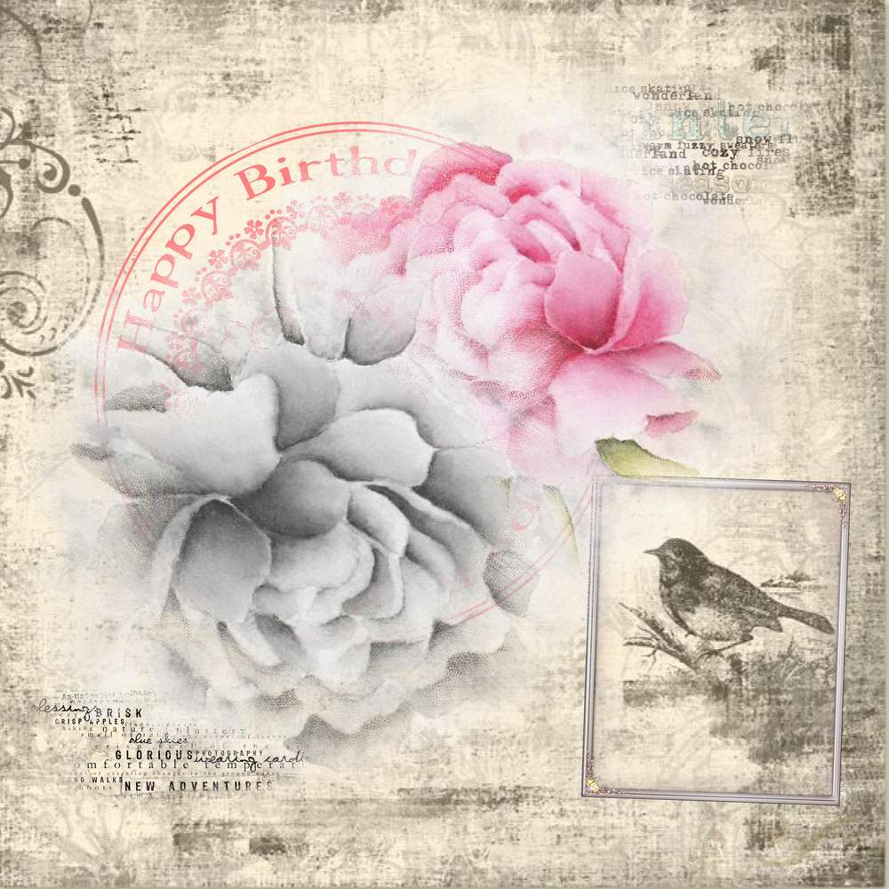 Anniversaire_B__r__nice4