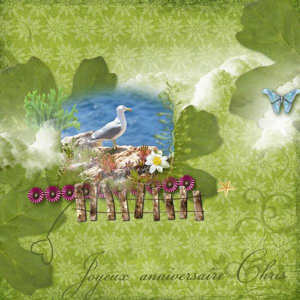 anniversaire_Chrisnature_