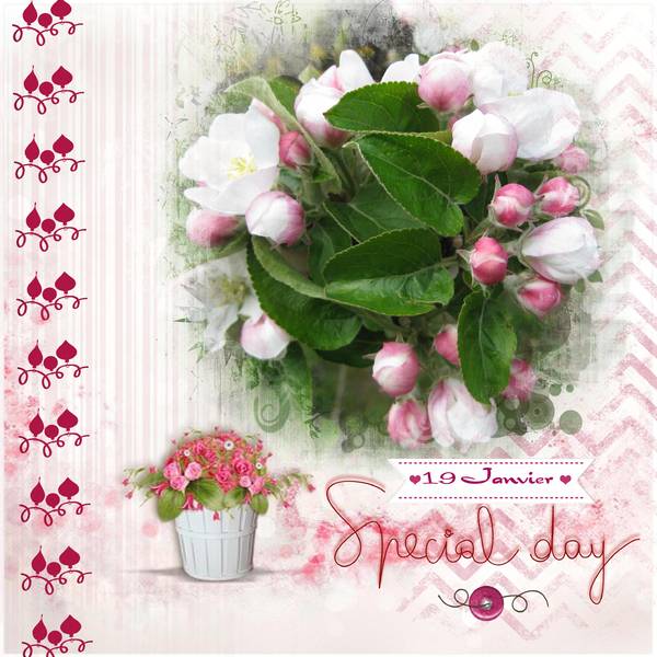 Anniversaire_Corinne4