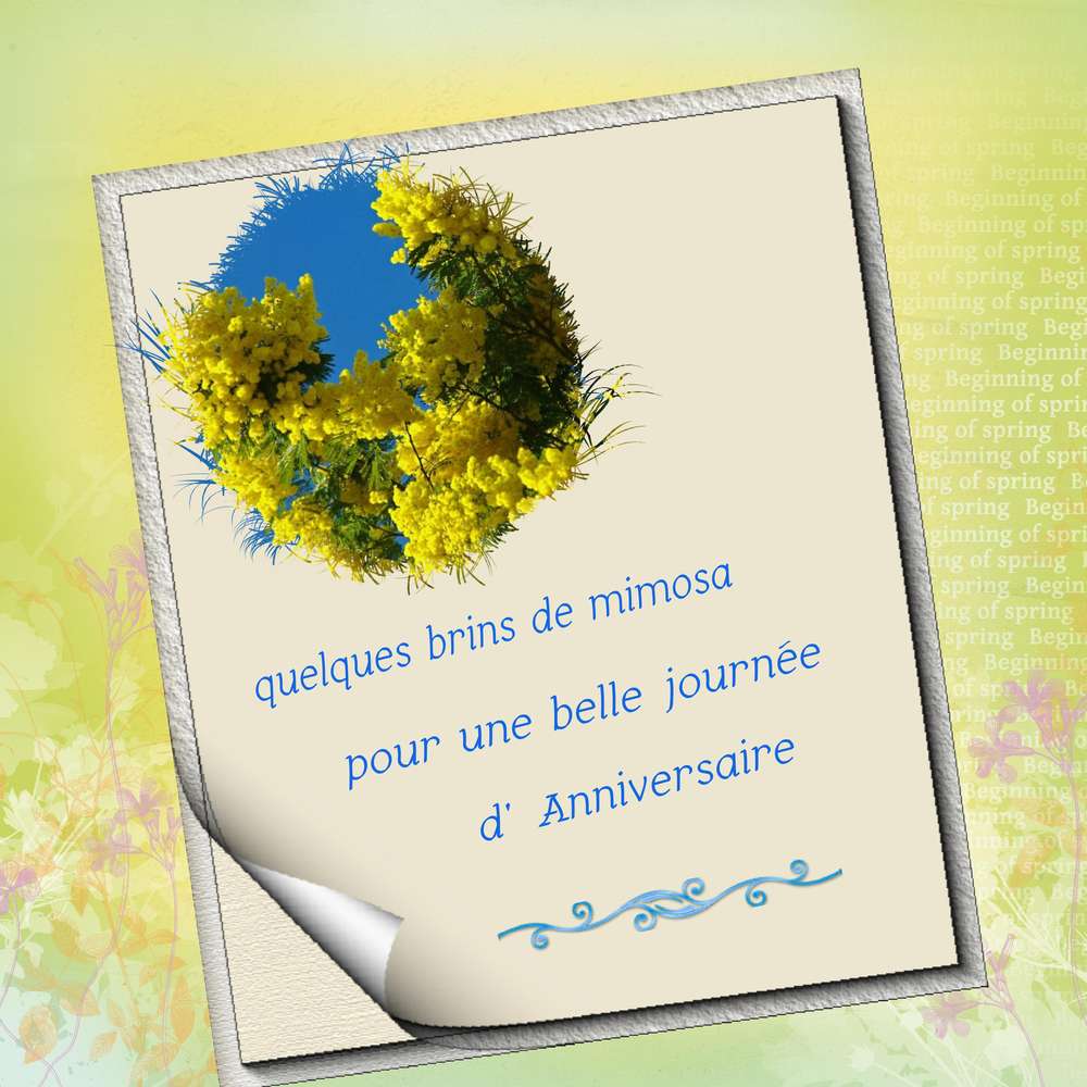 Anniversaire_Corinne8