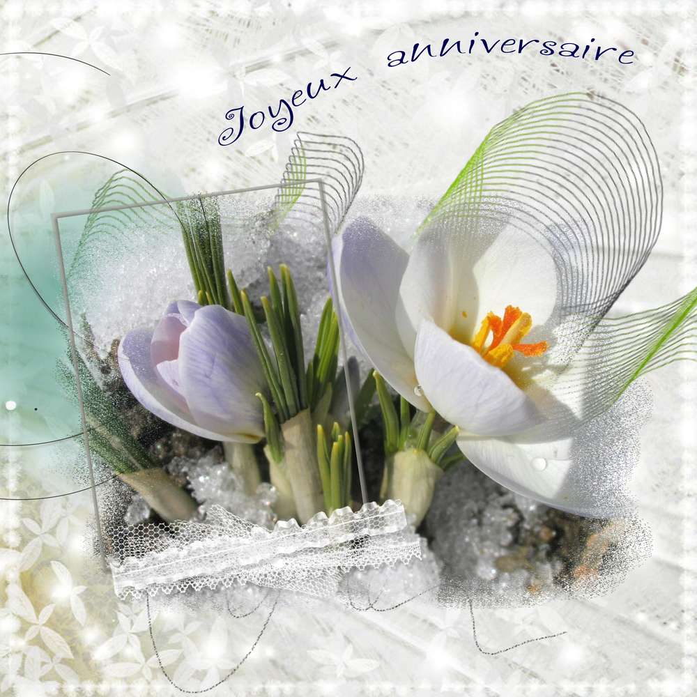 Anniversaire_Cyanne9