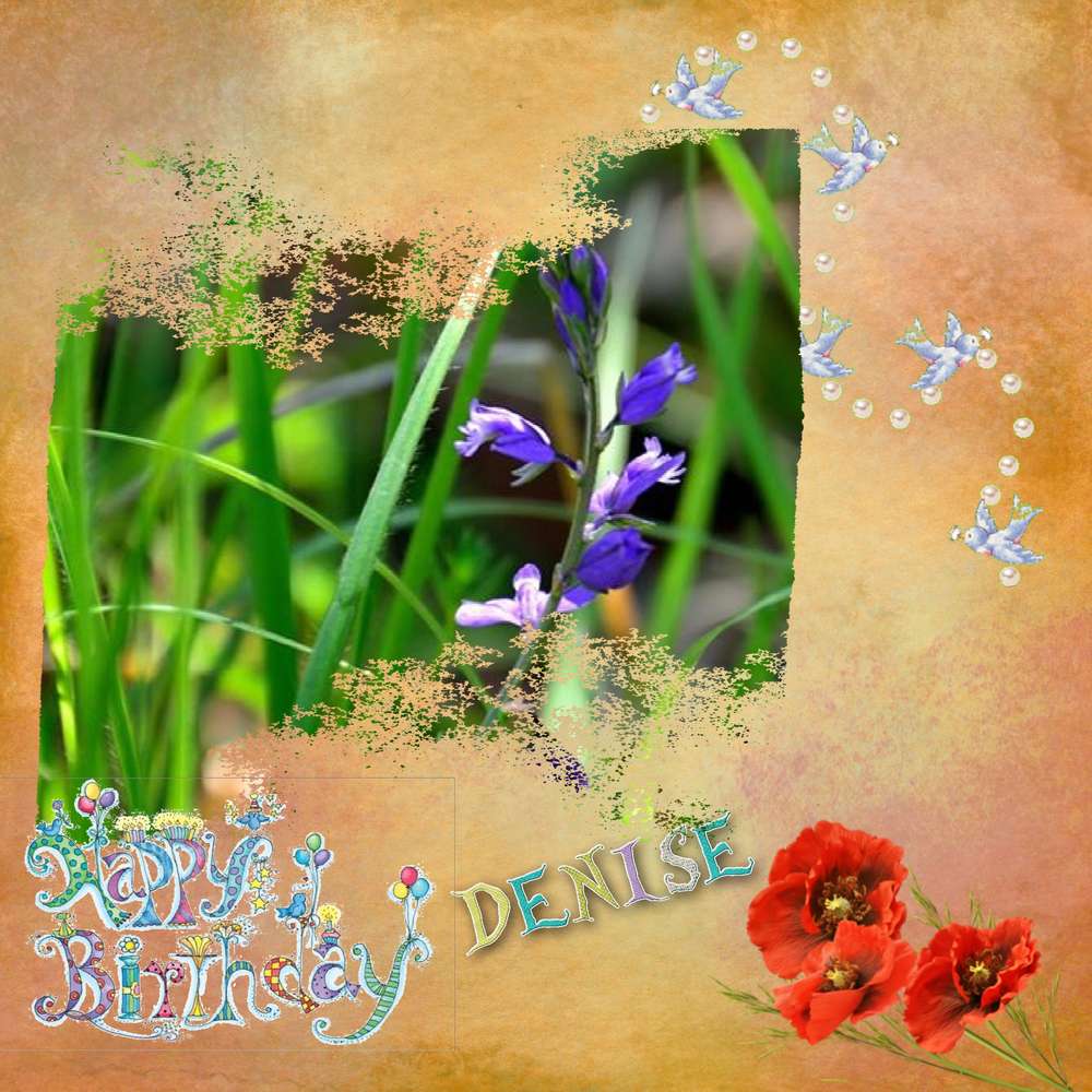 ANNIVERSAIRE_DENISE_2017