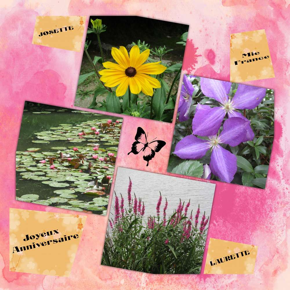 anniversaire_des_scrapinettes_de_Juillet_2017