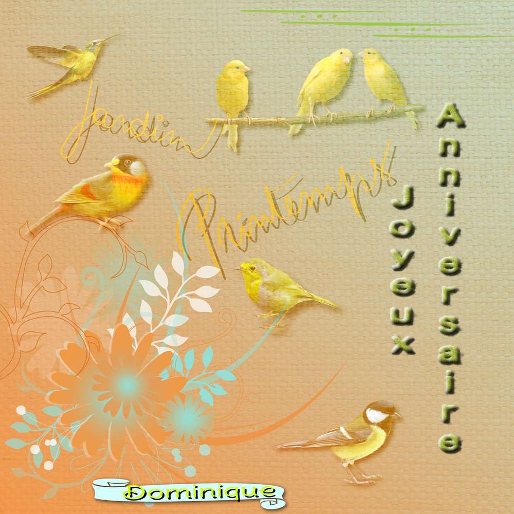 Anniversaire_Dominique