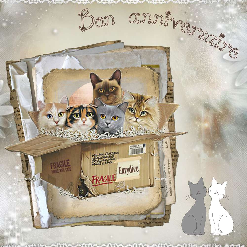 Anniversaire_Eurydice12