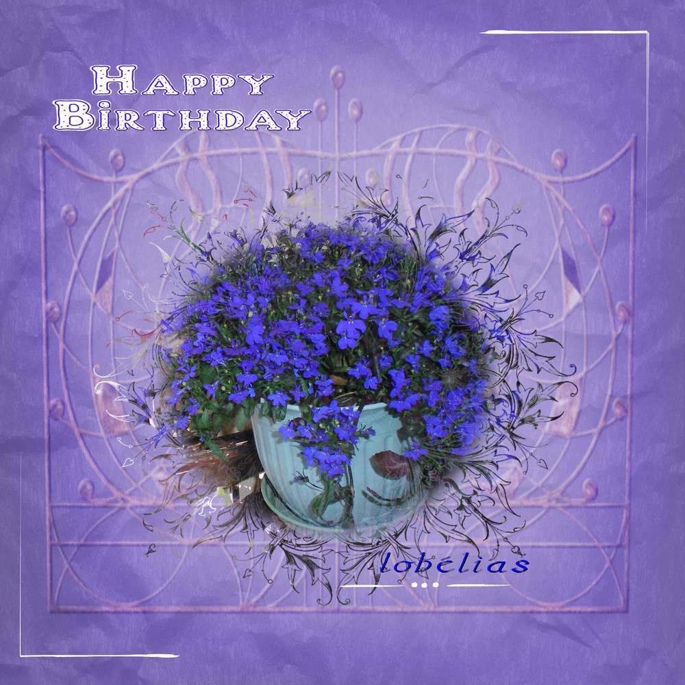 anniversaire_Genevi__ve8