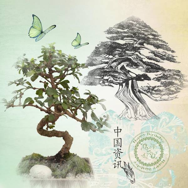 Anniversaire_Liliane_Papillon_