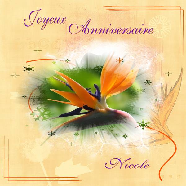 anniversaire_nicole__page_1_