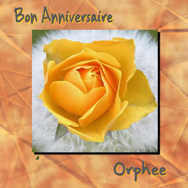 Anniversaire_Orph__e