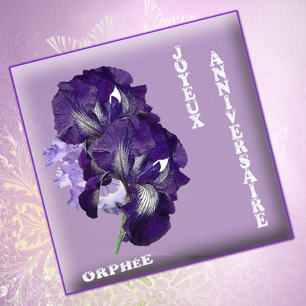 anniversaire_Orph__e5