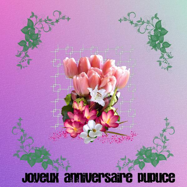 Anniversaire_Pupuce