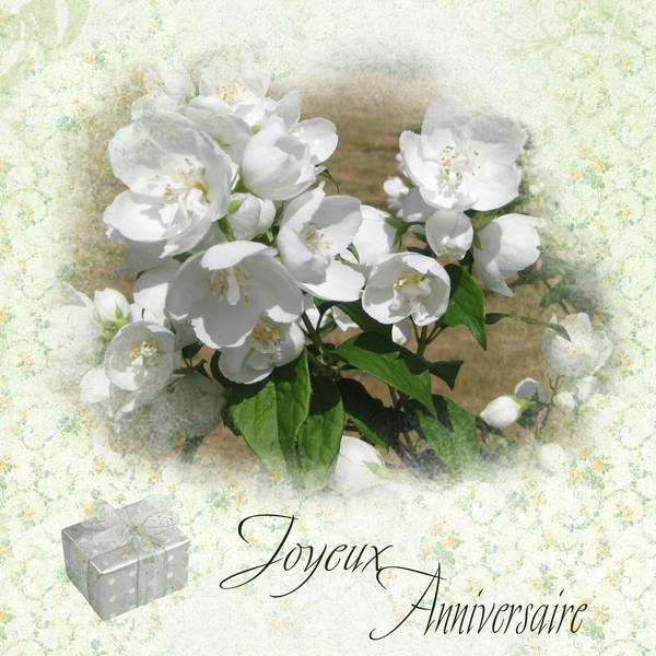 Anniversaire_Sandra1