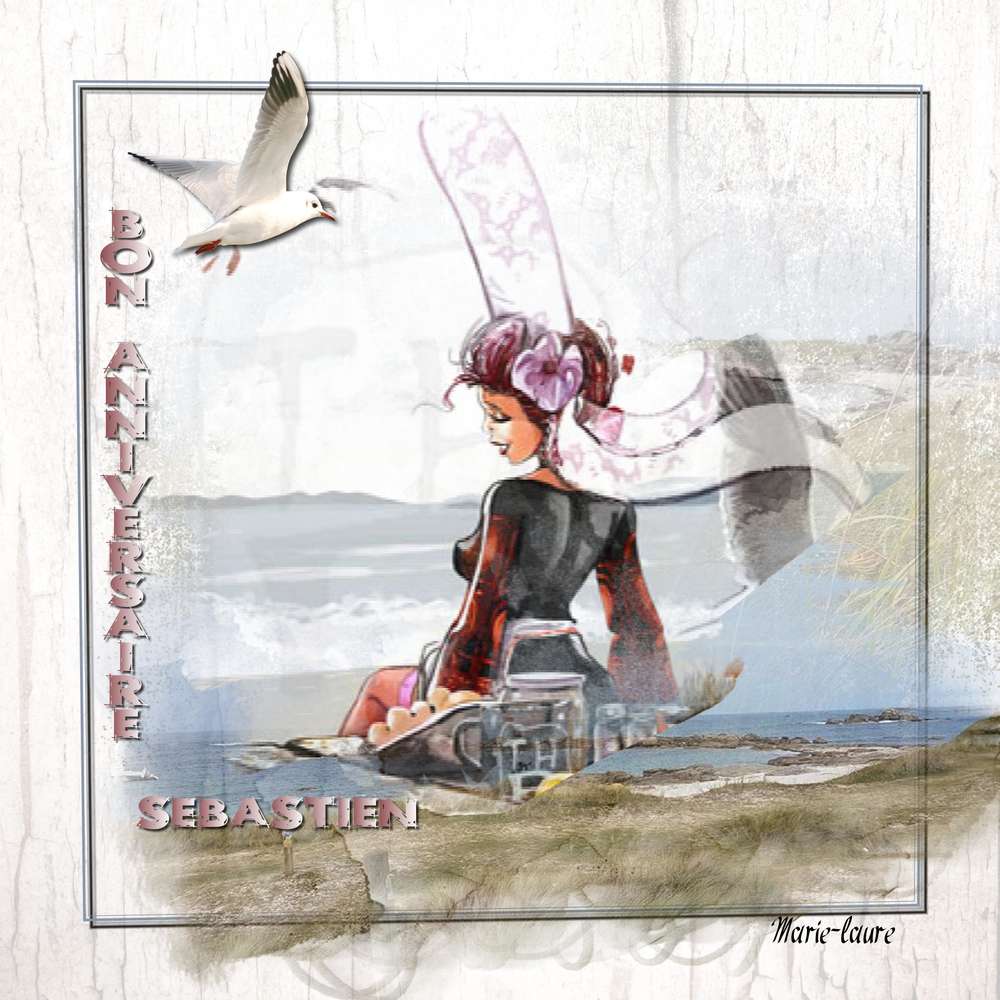 Anniversaire_sebastien_