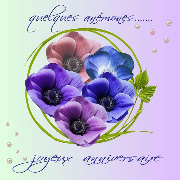 Anniversaire_Sousoufafa1