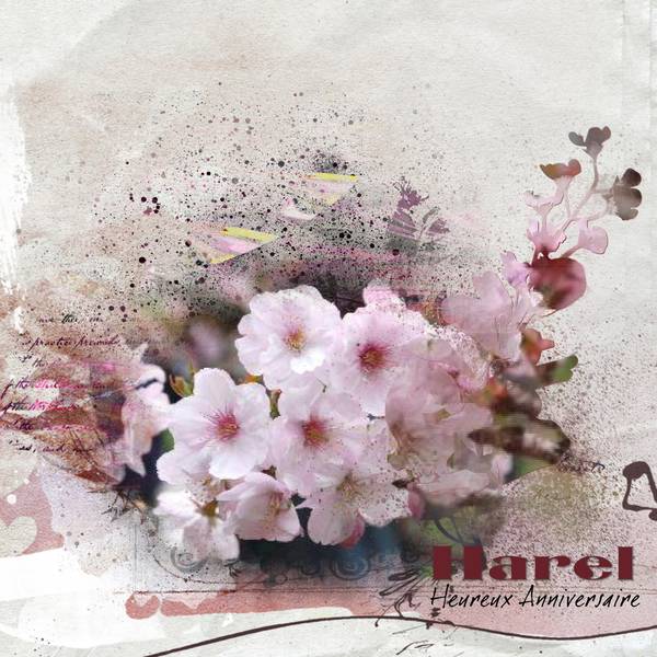 Annivesaire HAREL