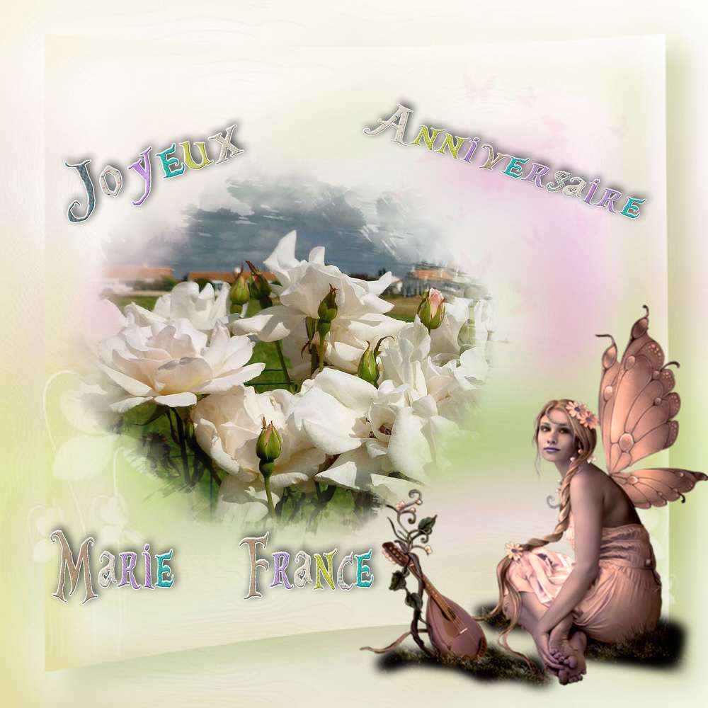 annivrsaire_de_marie_france