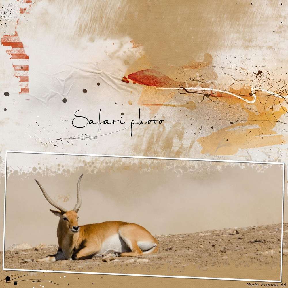 ANTILOPE RESERVE AFRICAINE DE SIGEAN