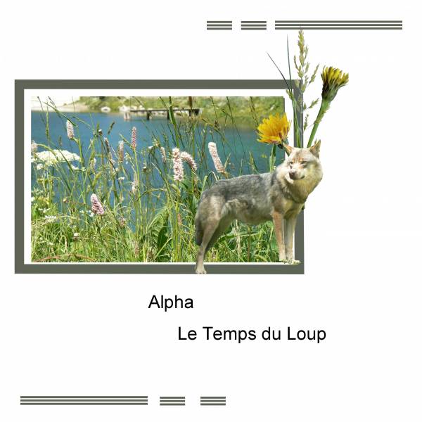 Apha le temps du Loup ... défi Moyson