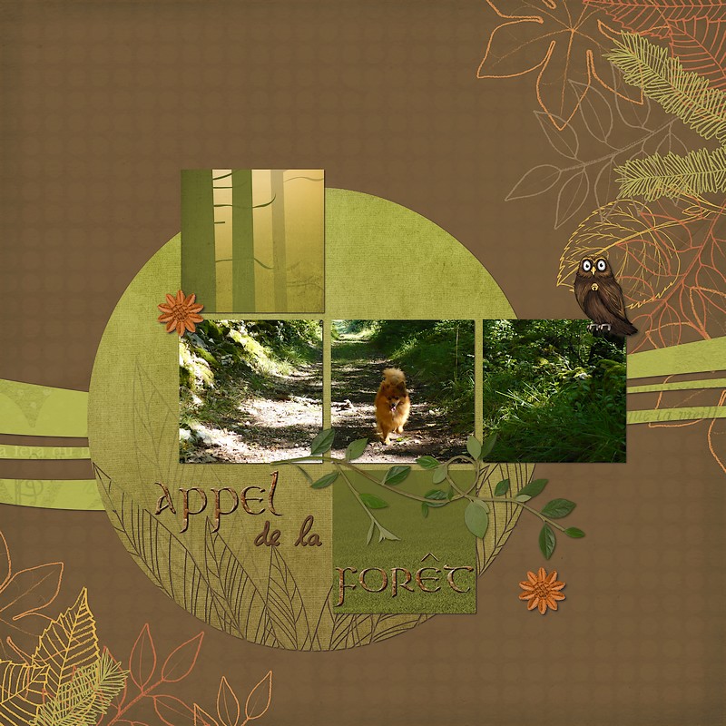 Appel de la forêt