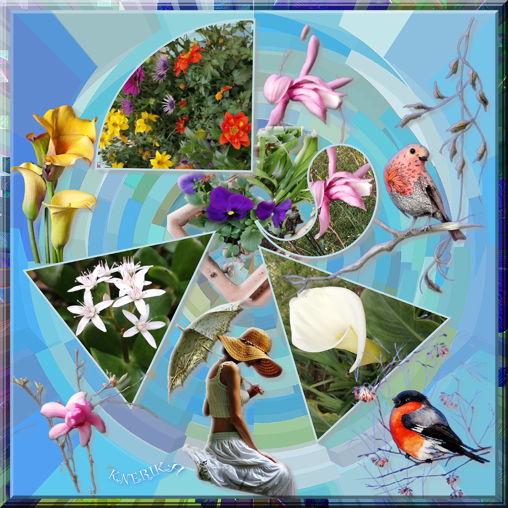 appel du printemps pour Jeannine par Anne Marie