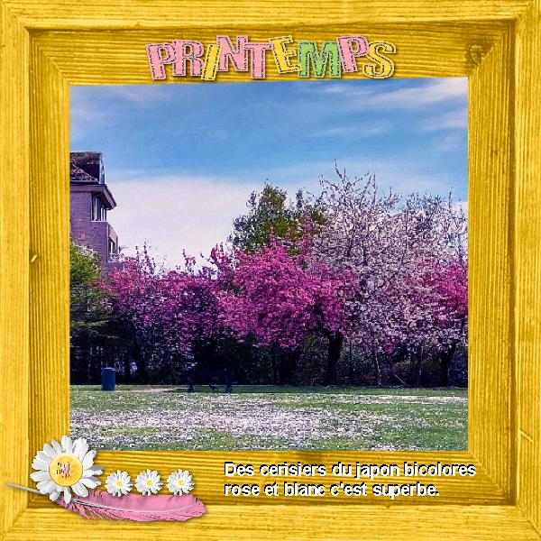 Approche du printemps fin avril