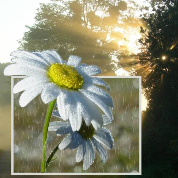 Après la pluie, arrive le soleil.