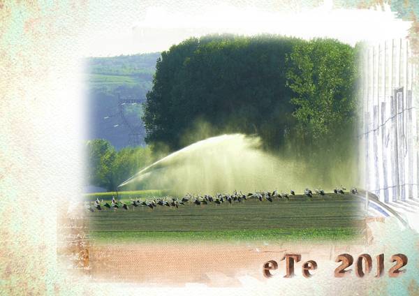 Après l'effort le réconfort